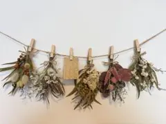 Item thumbnail for item af69ffa4-467e-4268-8e7d-cc56d747d0d4