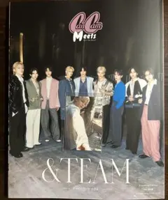 &TEAM CanCam フォトムック HMV版 ニコラス 手繋ぎトレカ