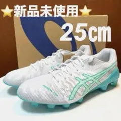 asics ds light 25