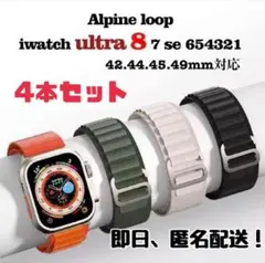 アルパインループ Apple Watch バンド G字フック 超軽量