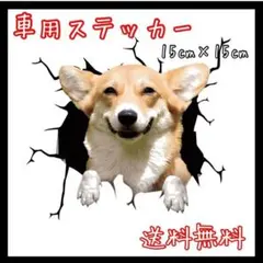 Item thumbnail for item 261780b4-dd6a-42d2-b046-2ef5cf31e4d9