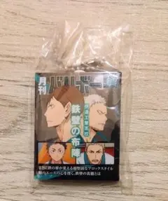 ハイキュー月刊バリボー缶バッジ