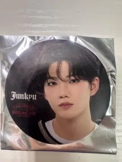 TREASURE PULSE ON ジュンギュ 缶バッジ