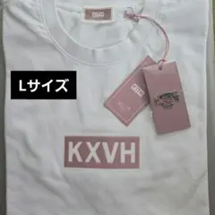 受注生産 限定品 Kith Dusty Quartz ピンバッジ付のサムネイル