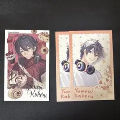 夢追翔 わんにゃん sweet floaties チェキ