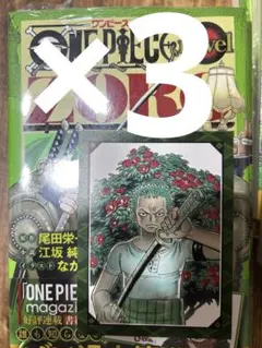 ONE PIECE novel ZORO イラストカード 特典付き 4冊 - メルカリ