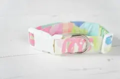 中型犬★カラフル★首輪