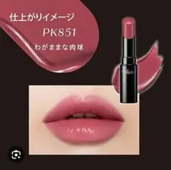 Vise'e ❤ ネンマクフェイクルージュ(PK851)わがままな肉球