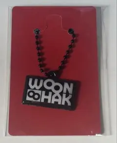 BOY NEXT DOOR The Action キーホルダー ウナク