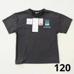 【新品】E5系はやぶさ 新幹線 半袖Tシャツ 120cmのサムネイル