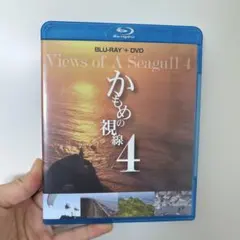 Item thumbnail for item 5b9088e8-20b0-4ffa-9f7b-8e34ea7b77a2