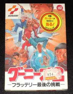 【箱美品】グーニーズ2 フラッテリー最後の挑戦 グーニーズ2 フラッテリー最後の挑戦/ファミコン(FC)/箱・説明書