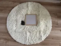 フォトセット