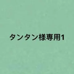 タンタン様専用1