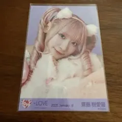 イコラブ 齋藤樹愛羅 猫衣装 ヨリ 生写真 - メルカリ