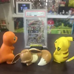 高力　AR PSA10