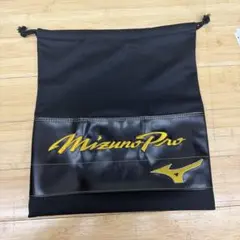ミズノプログラブ袋のサムネイル