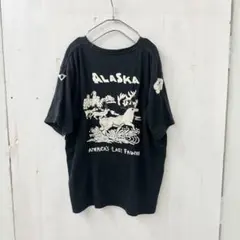 BIGサイズ HOSU.ATPD ALASKA アラスカ 手刺繍 Tシャツ XLのサムネイル