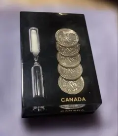 カナダ 土産 砂時計 アクリル ペーパーウェイト 1セント硬貨5枚
