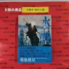 水壁 アテルイを継ぐ男