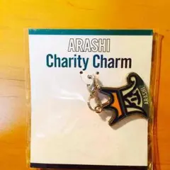 嵐 Beautiful World チャリティーチャーム