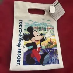 【新品タグ付】ディズニーリゾート限定 ミッキー＆ミニー トートバッグ マチあり