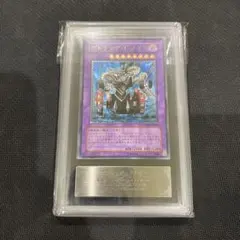 遊戯王 日本選手権2026 プロモ the lady's protectors - メルカリ