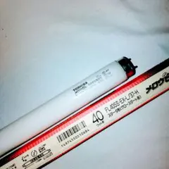 Item thumbnail for item 7feb61a9-f2f4-4560-addd-b13fe704d890