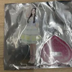 AKB48 ぺりちゃんくじ B賞 宝物を指差すアクスタ 森川優