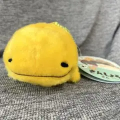 オーさんしょうさん（大）LMC うおっと　オオサンショウウオ　マスコット
