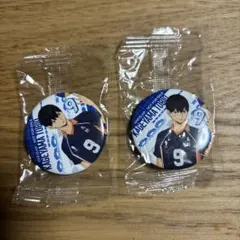 影山飛雄　缶バッジ2個セット