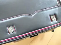 Item thumbnail for item a8f47e27-e508-4d97-814d-c84b1378a5e0