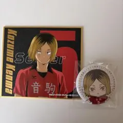 ハイキュー 音駒 孤爪研磨 色紙・缶バッジセット