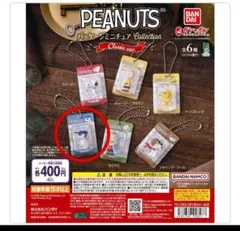 PEANUTS パッケージミニチュアコレクション