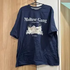 Item thumbnail for item c3d2f4e7-d5c3-4252-96be-e75e13f7bfc1