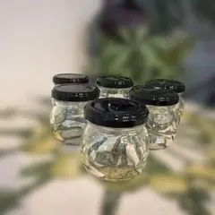 Item thumbnail for item c251ce51-77dd-4e5b-8082-b1751925c955