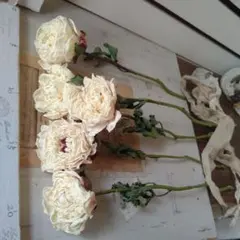 みく✩様 リクエスト 3点 まとめ商品