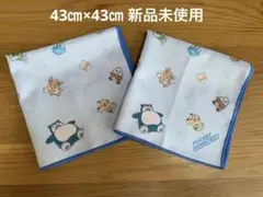 ポケモン ランチマット ナフキン ランチクロス ２枚セット 新品未使用