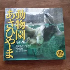 Item thumbnail for item dd19b35e-9842-481c-be27-a951e3862059