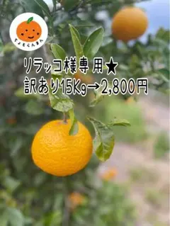 リラックコ専用★彡訳あり甘夏15キロ