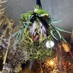 キングプロテアの鳥かごスワッグ