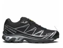 Salomon XA Pro 3D v8 GORE-TEXのサムネイル