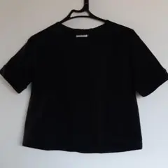 Item thumbnail for item 2d667042-4686-48d6-9697-b0efd778a813