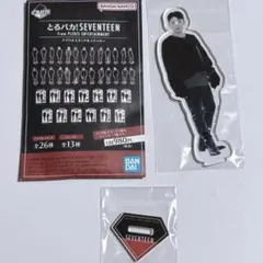 2026年最新】seventeen ジョシュア アクスタの人気アイテム - メルカリ