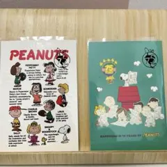 PEANUTS 75周年記念ポストカード2枚セット