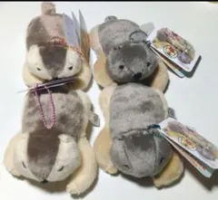 タグ付き　Dr.マーモット まもちおもプクのぺたーん＆マモ相撲ぬいぐるみ　全種