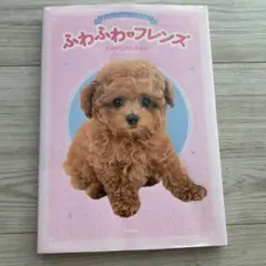 Item thumbnail for item 2318be64-f28a-469a-a613-2d870f414817