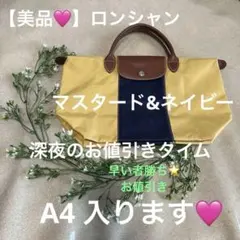 【美品】ロンシャン　カスタマイズのサムネイル