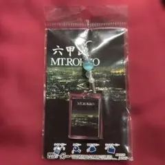 【六甲山】夜景＆昼景アクリルキーホルダー(2014年)