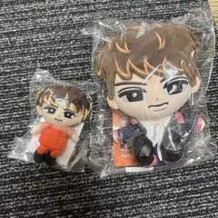 Snow Manすのチル ぬいぐるみ セット 向井康二